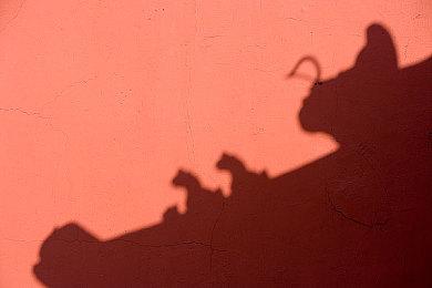 《彩虹六号：异种》对比视频 XSX平均分辨率更高